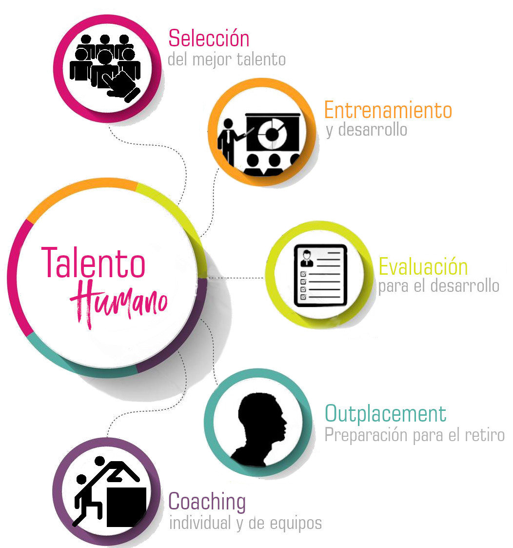 Servicios - Orientarte